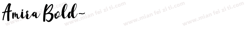 Amira Bold字体转换